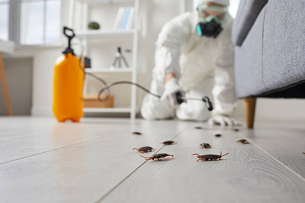 Commercial Kitchen Cockroach Control in Meadville